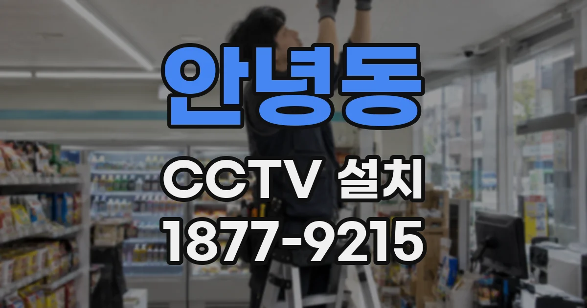 안녕동 CCTV 설치