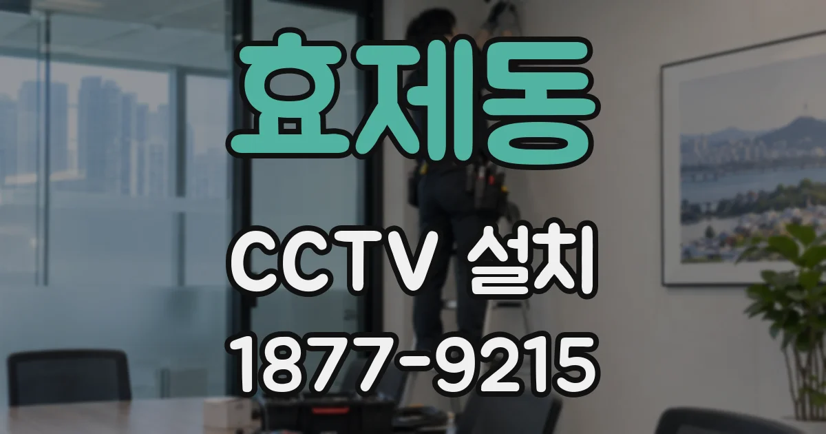 효제동 CCTV 설치