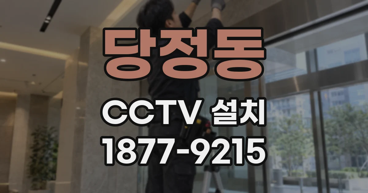 당정동 CCTV 설치