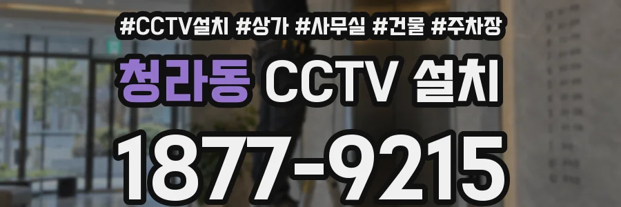 청라동 CCTV 설치