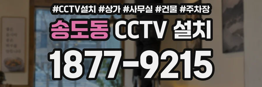 송도동 CCTV 설치