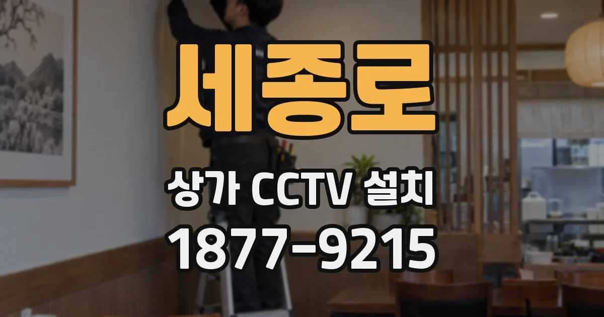 세종로 상가 CCTV 설치