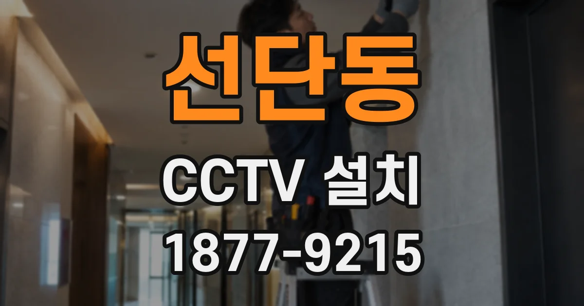 선단동 CCTV 설치