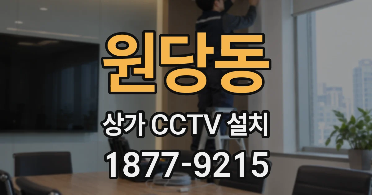 원당동 상가 CCTV 설치