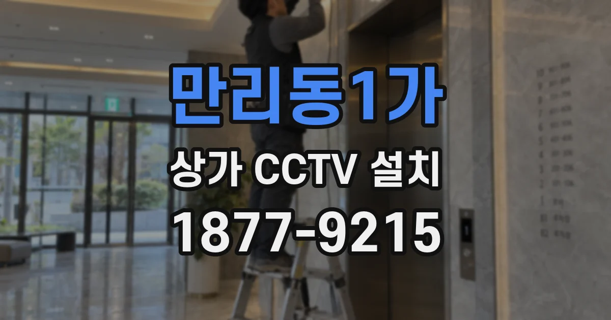 만리동1가 상가 CCTV 설치