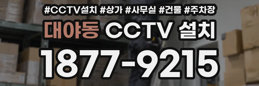대야동 CCTV 설치