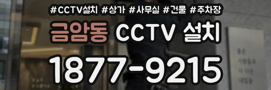 금암동 CCTV 설치