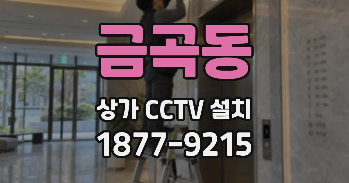 금곡동 상가 CCTV 설치