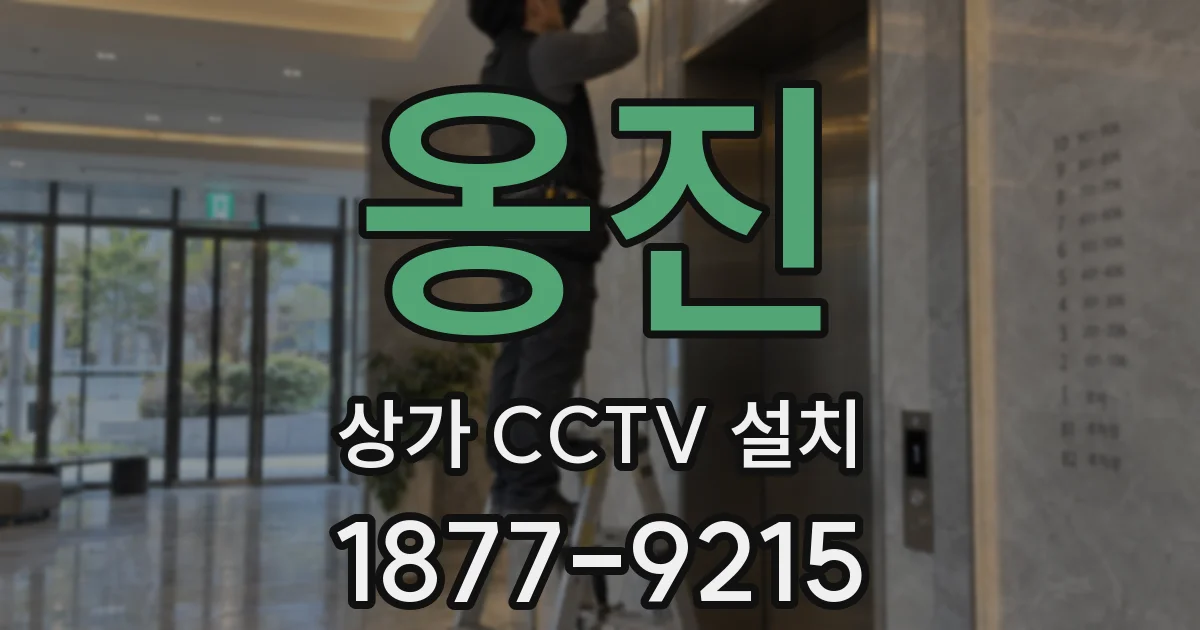 옹진 상가 CCTV 설치