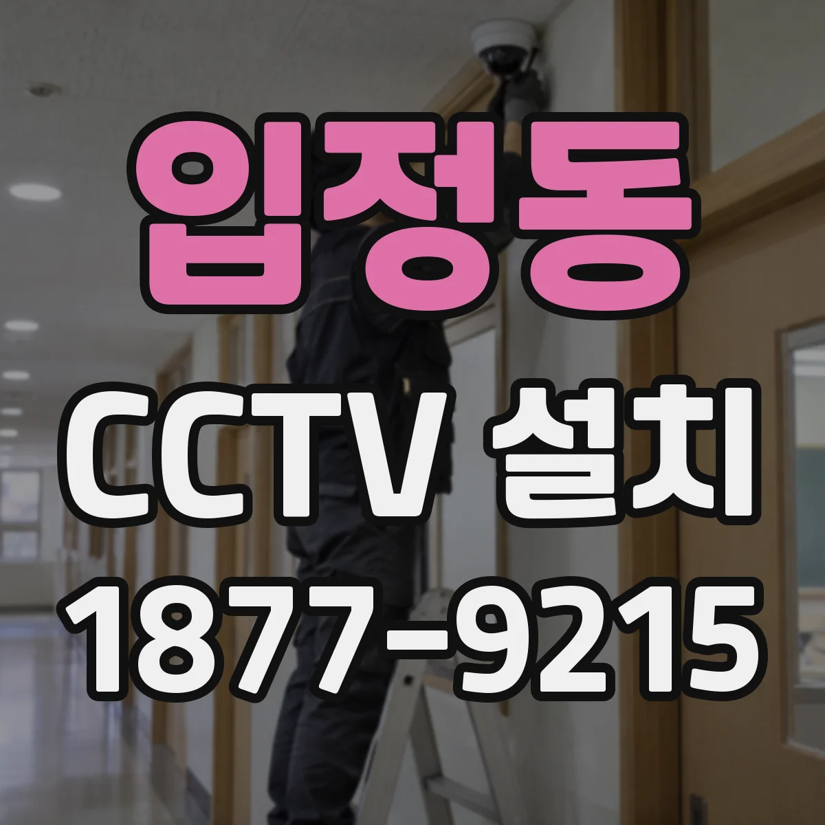 입정동 CCTV 설치