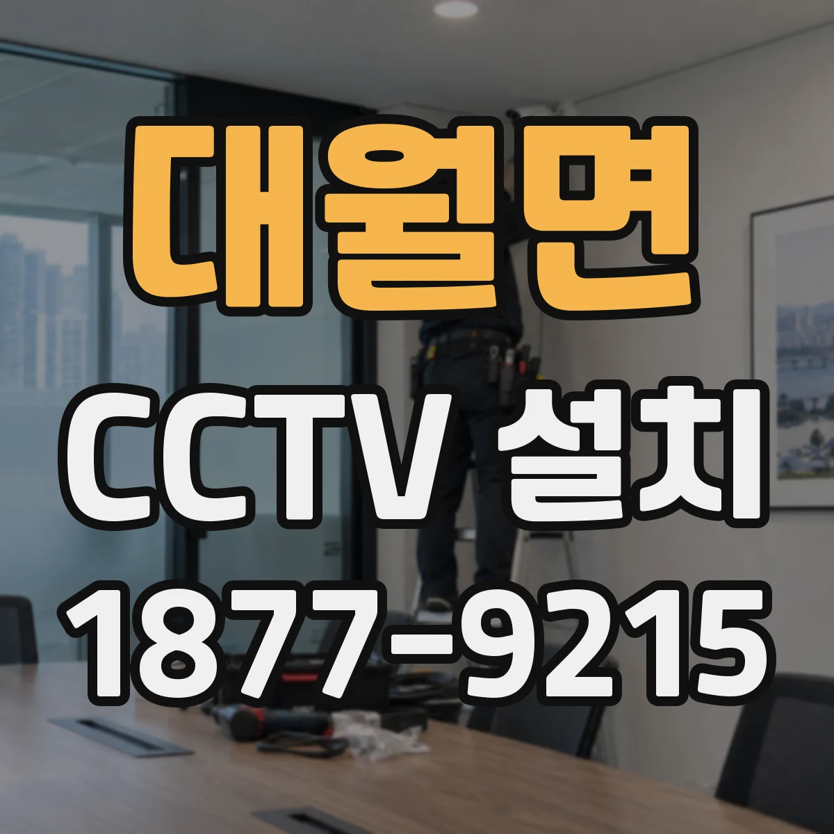 대월면 CCTV 설치
