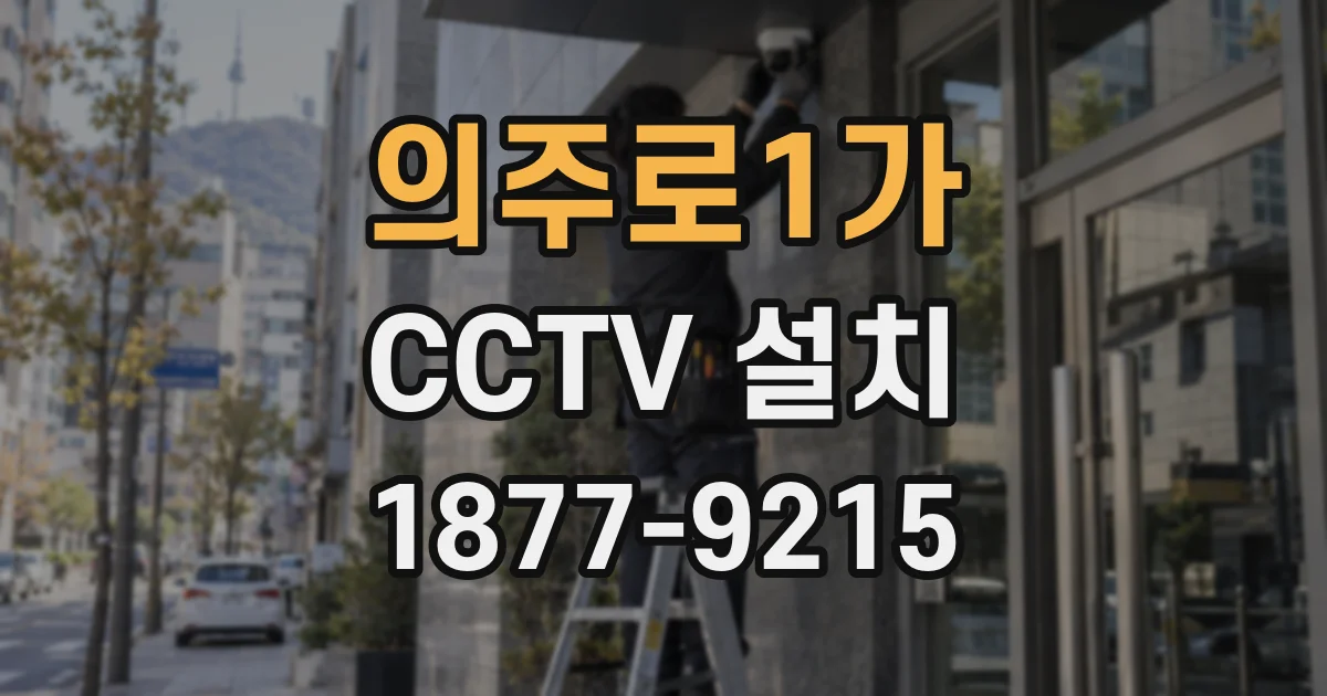 의주로1가 CCTV 설치