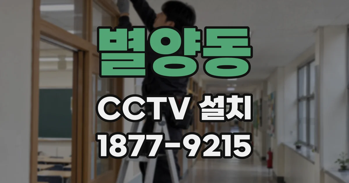 별양동 CCTV 설치