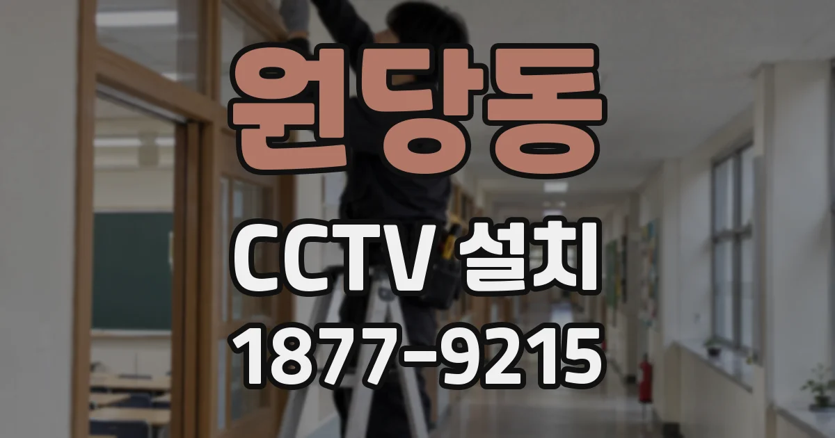 원당동 CCTV 설치