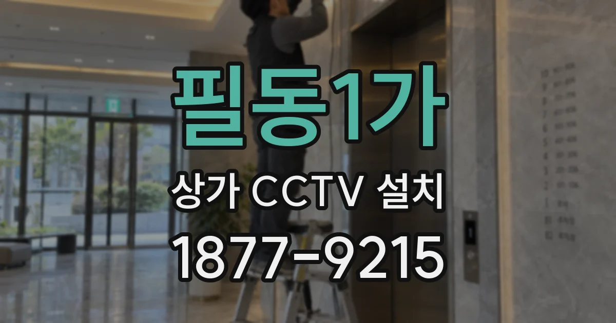필동1가 상가 CCTV 설치