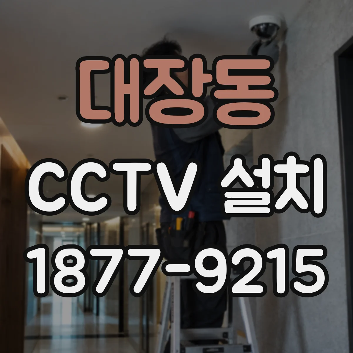 대장동 CCTV 설치