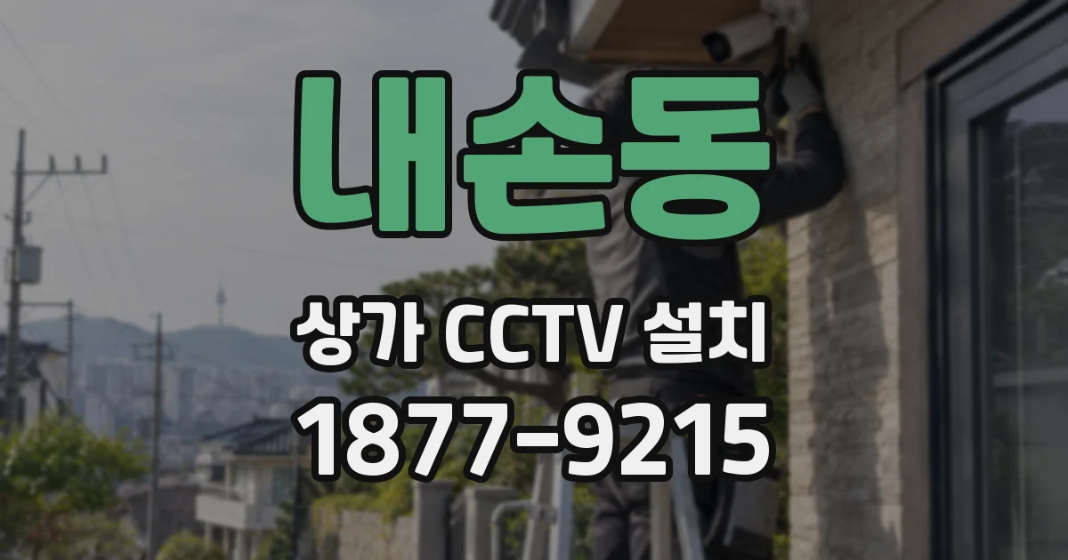 내손동 상가 CCTV 설치