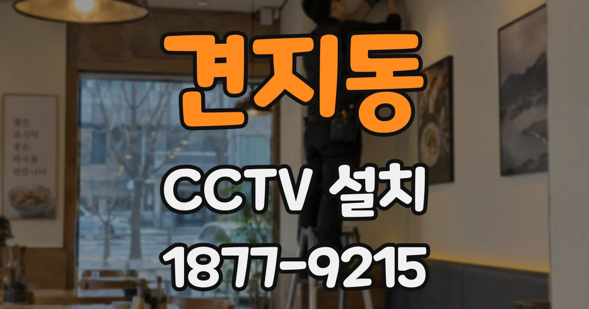 견지동 CCTV 설치