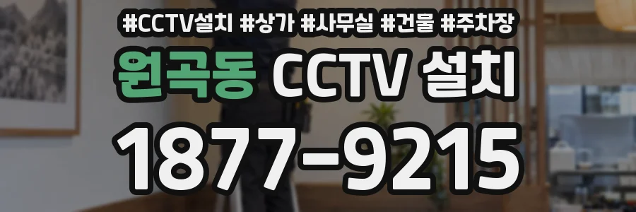 원곡동 CCTV 설치