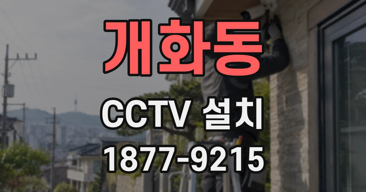 개화동 CCTV 설치