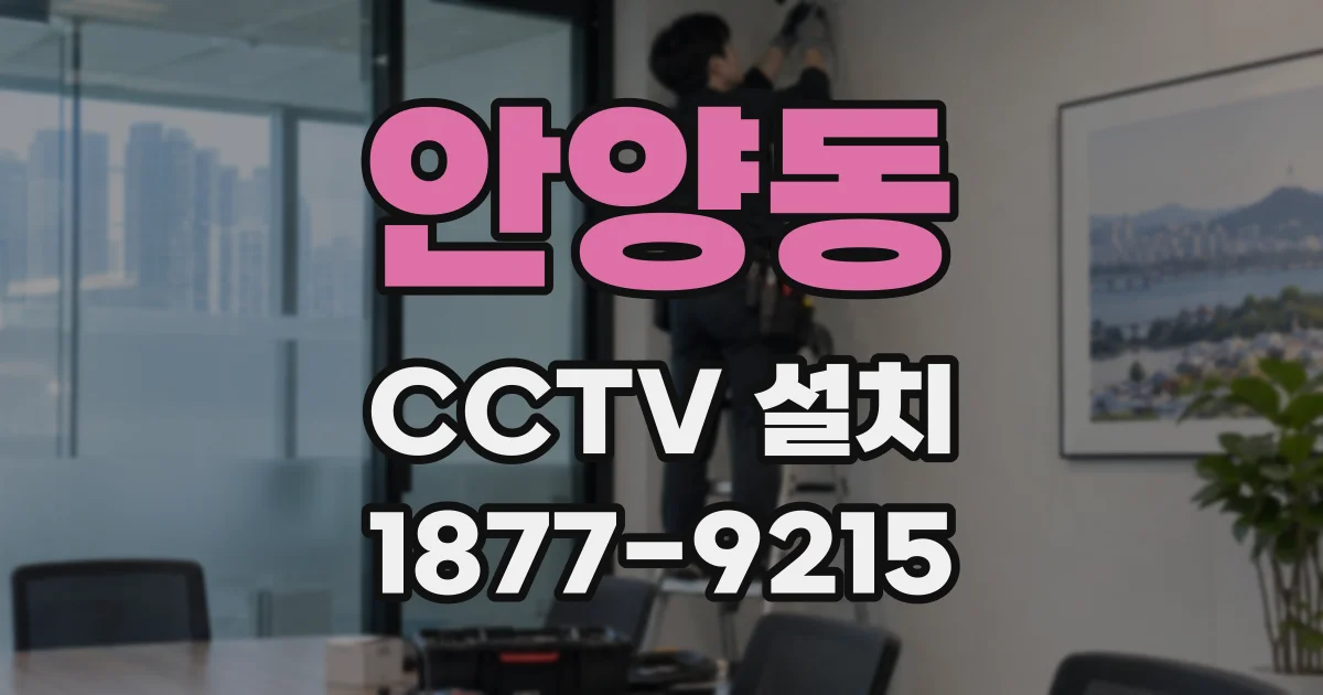 안양동 CCTV 설치