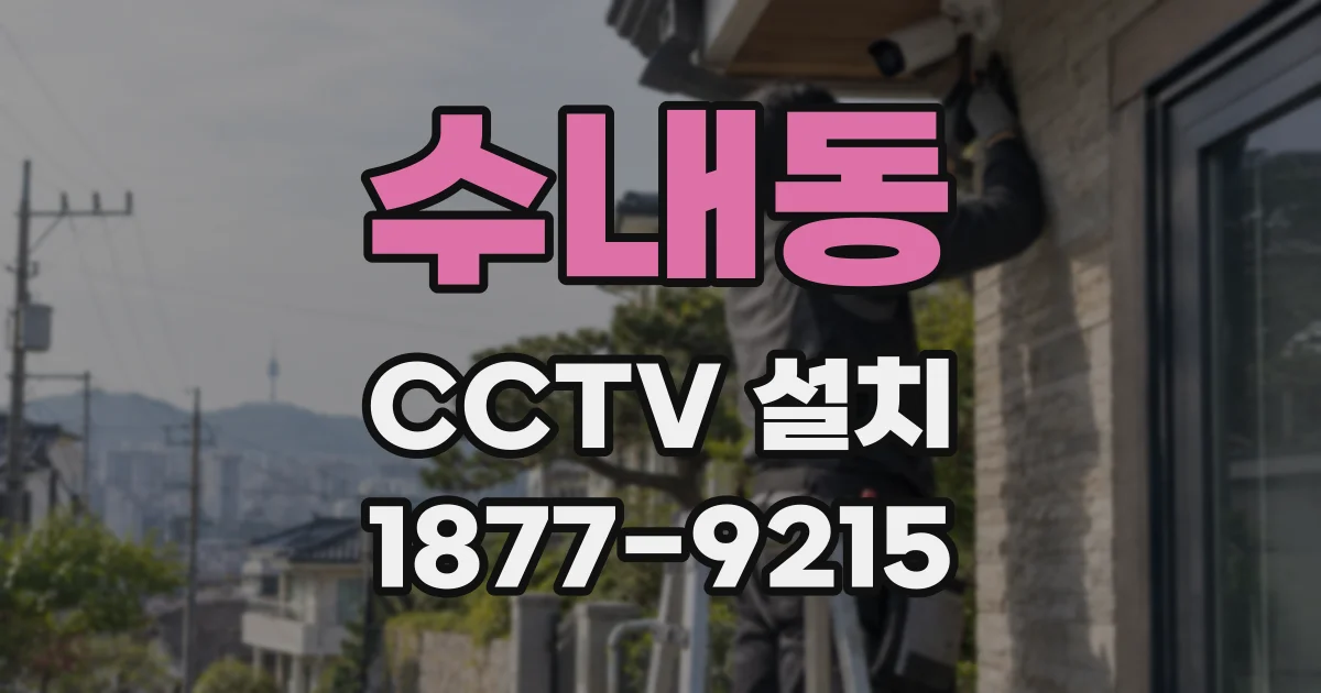 수내동 CCTV 설치