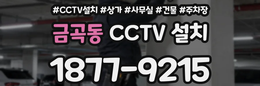 금곡동 CCTV 설치