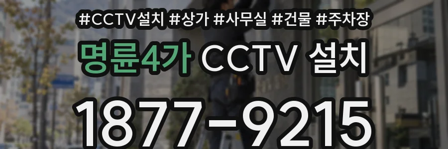 명륜4가 CCTV 설치