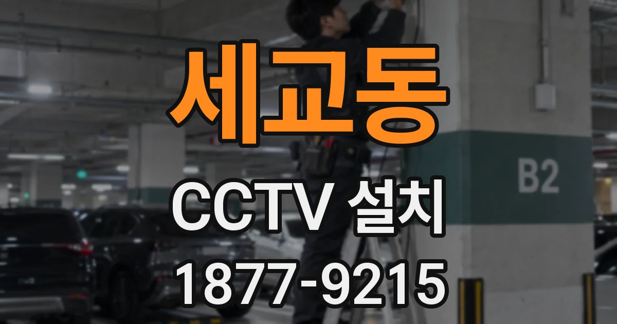 세교동 CCTV 설치