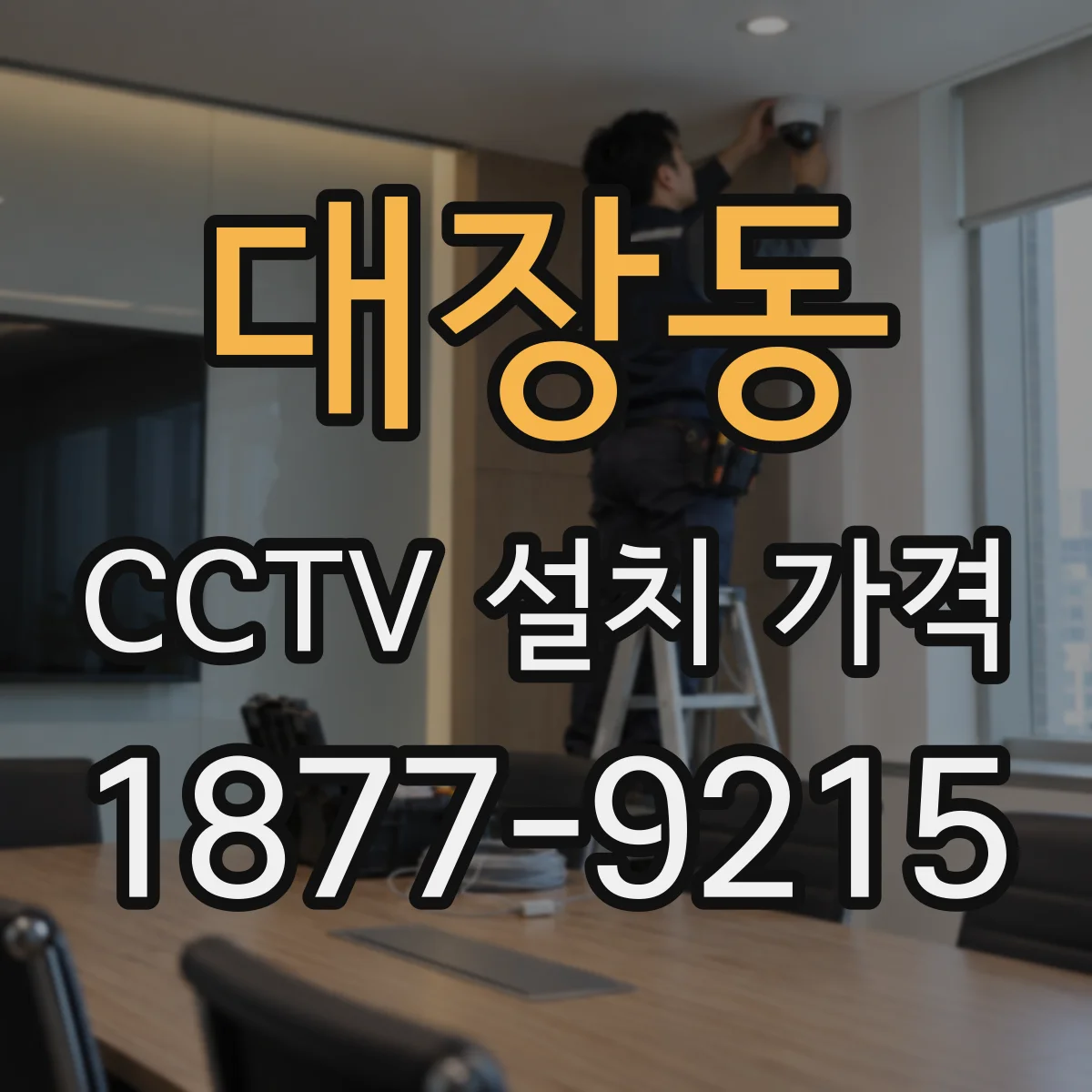 대장동 CCTV 설치 가격