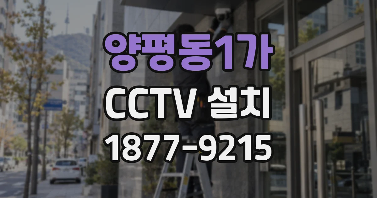 양평동1가 CCTV 설치