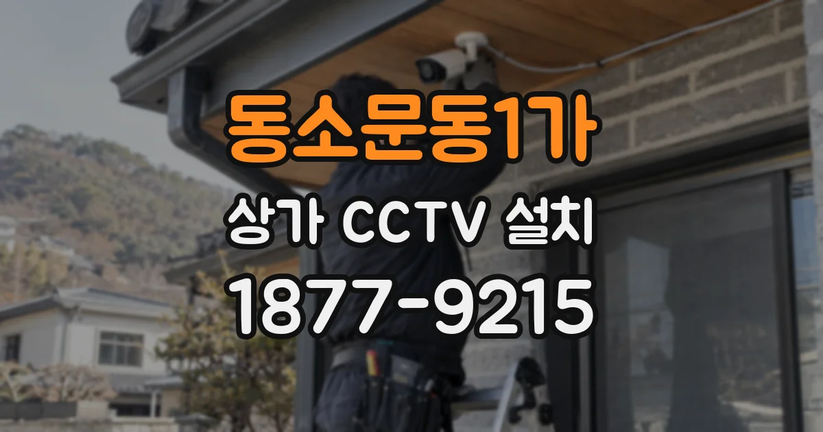 동소문동1가 상가 CCTV 설치