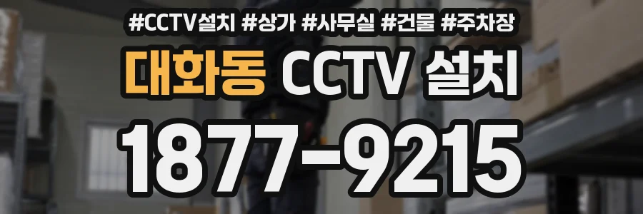 대화동 CCTV 설치