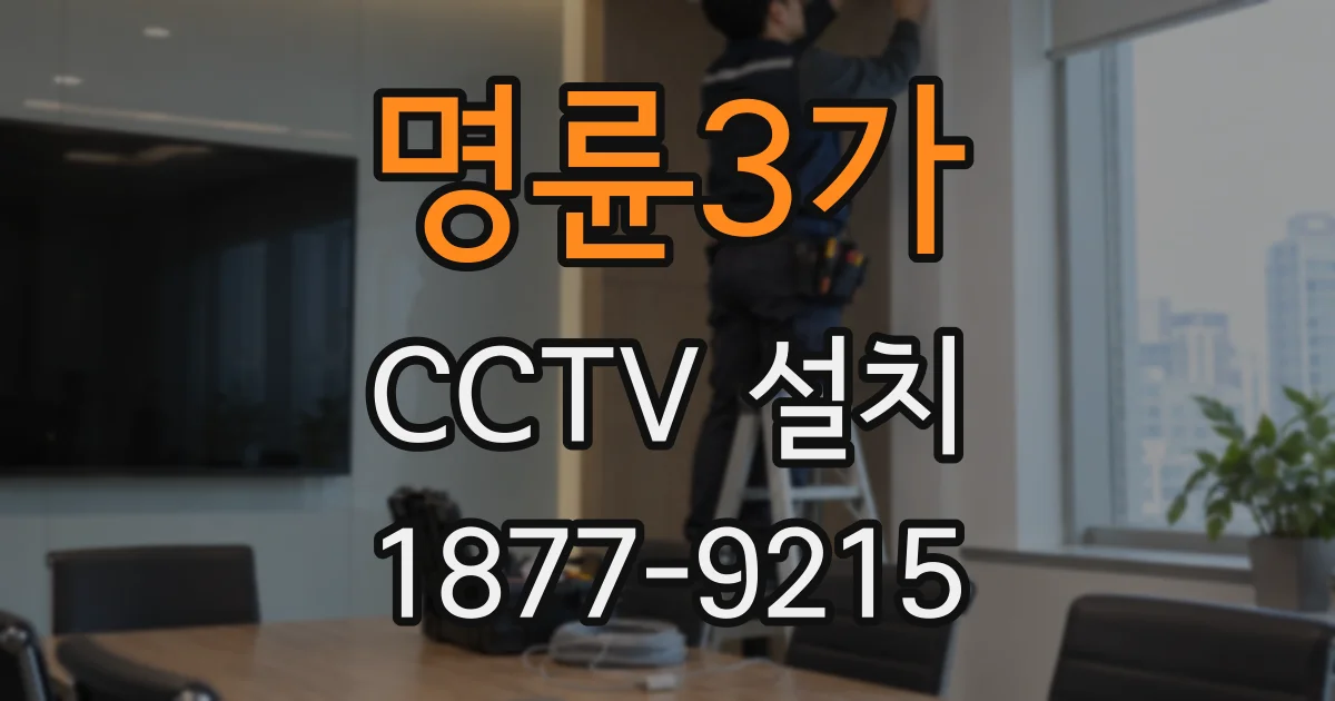 명륜3가 CCTV 설치