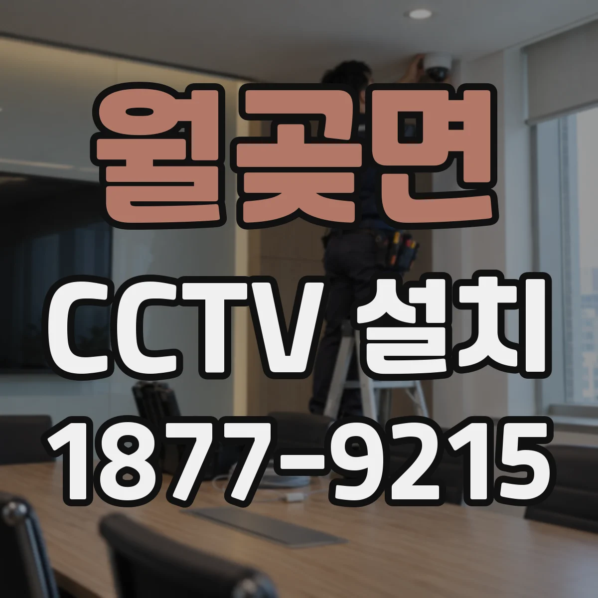 월곶면 CCTV 설치