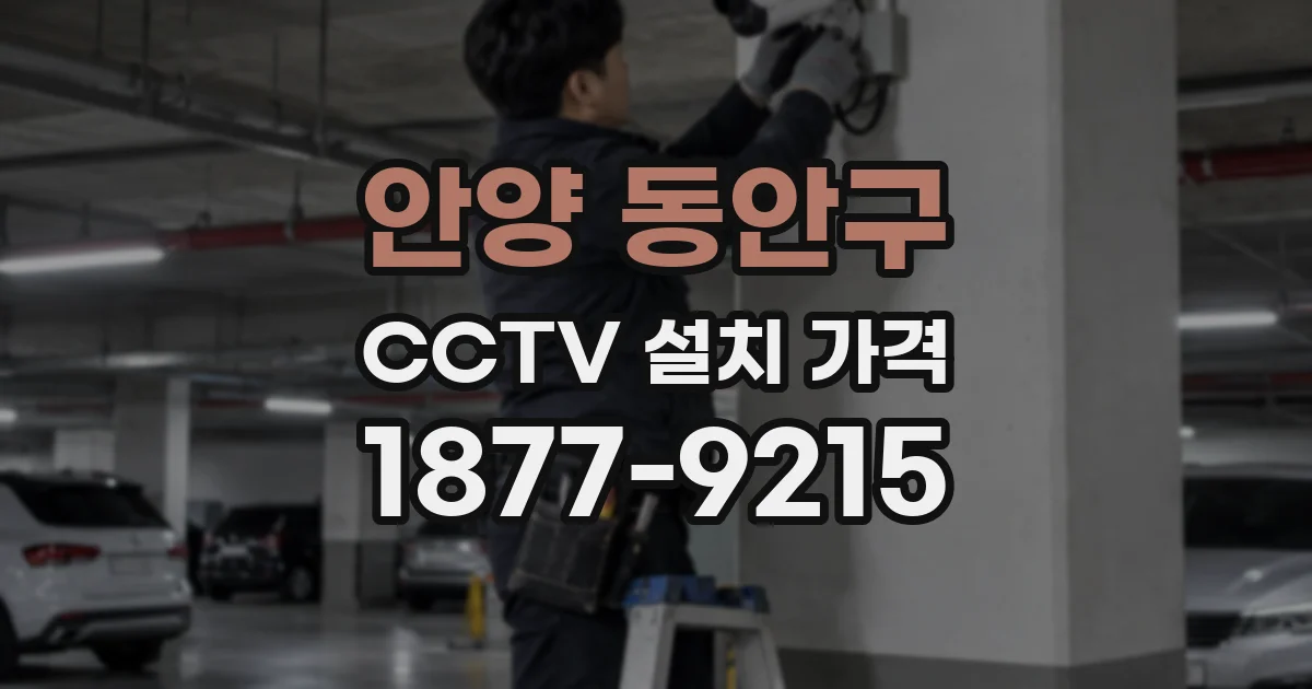 안양 동안구 CCTV 설치 가격