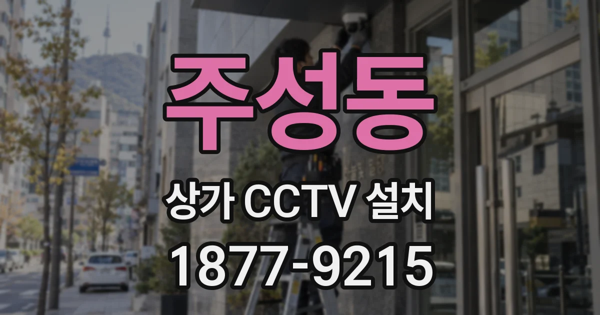 주성동 상가 CCTV 설치