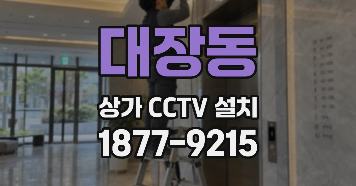 대장동 상가 CCTV 설치