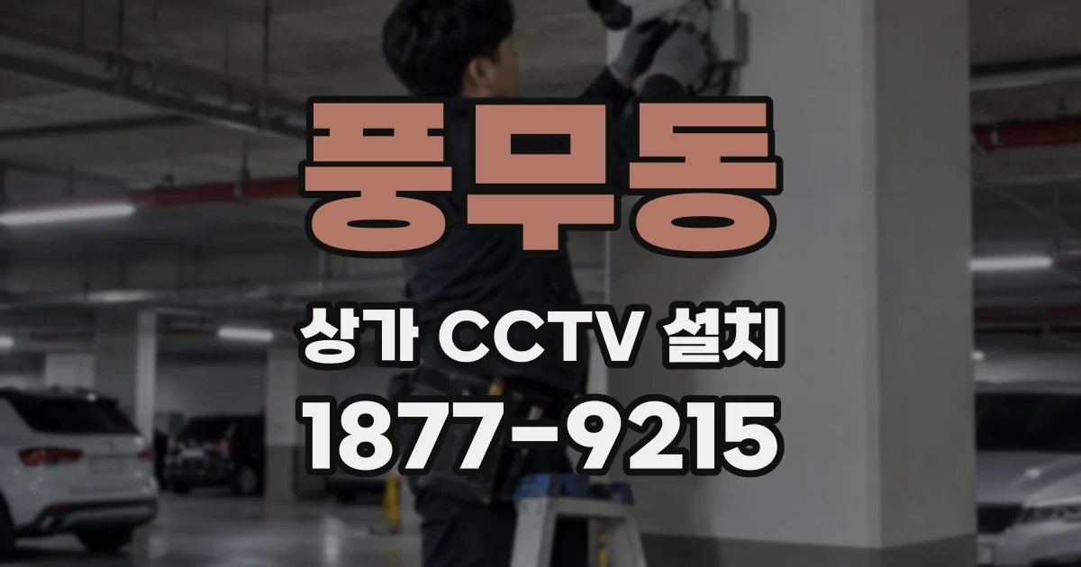 풍무동 상가 CCTV 설치