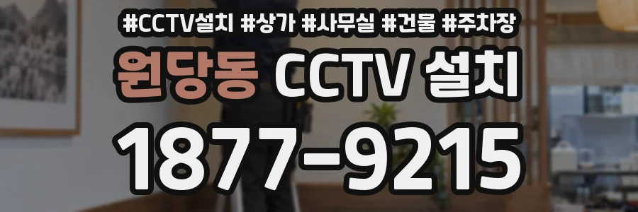 원당동 CCTV 설치