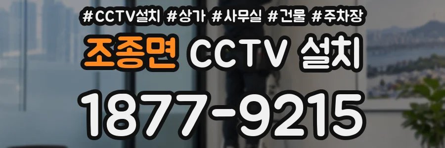 조종면 CCTV 설치
