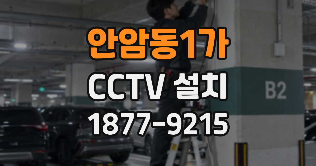 안암동1가 CCTV 설치