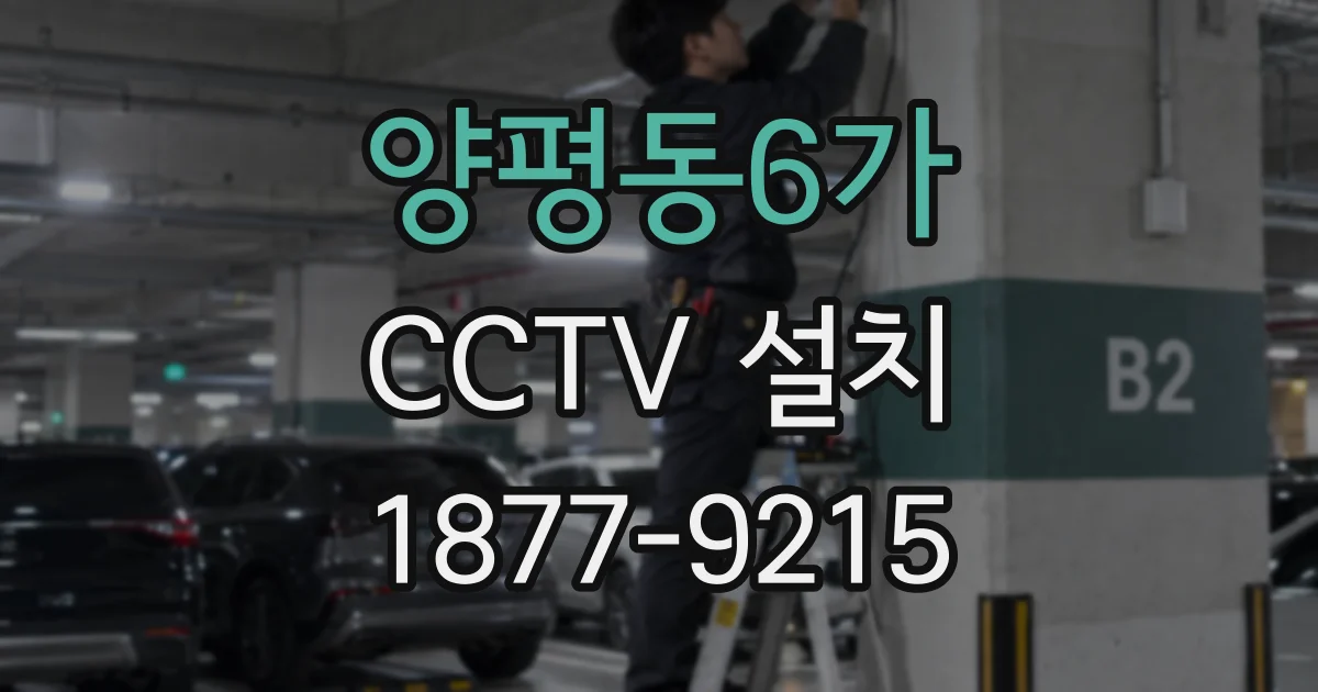 양평동6가 CCTV 설치