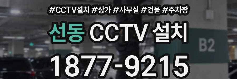 선동 CCTV 설치