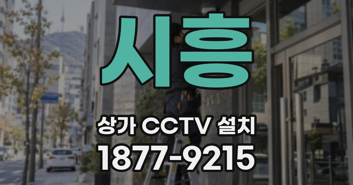시흥 상가 CCTV 설치