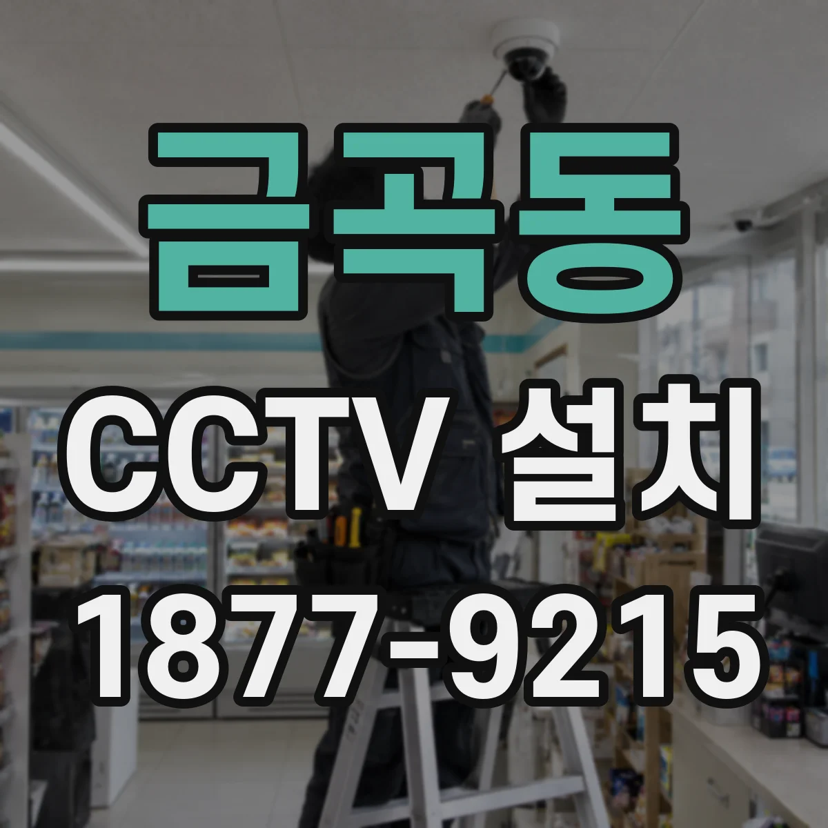 금곡동 CCTV 설치