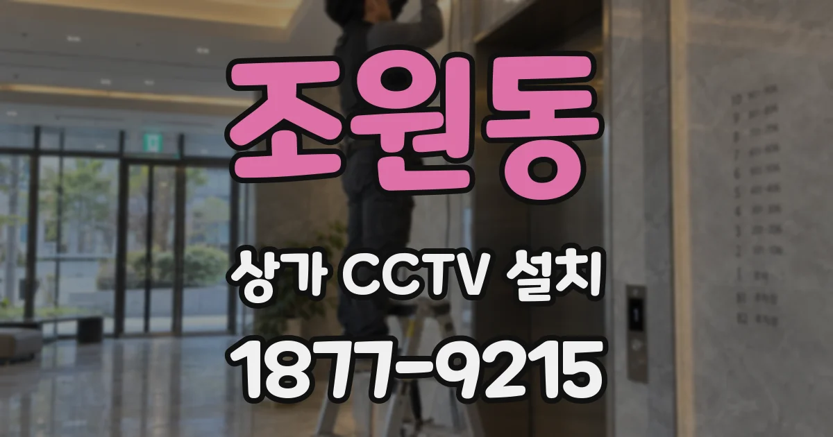 조원동 상가 CCTV 설치
