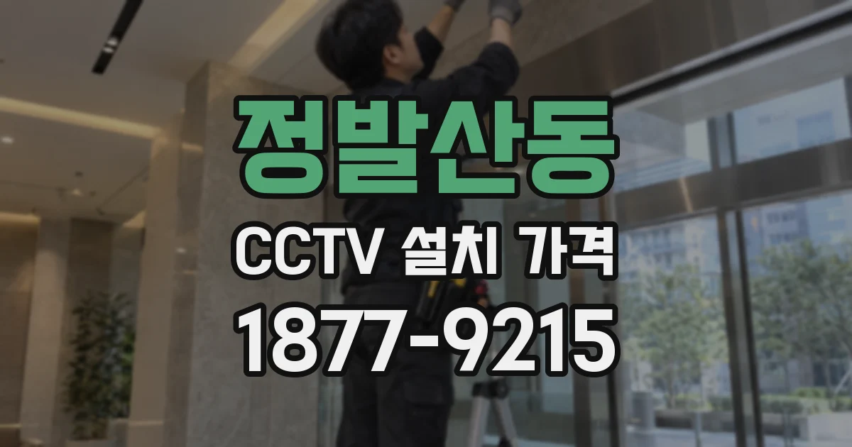 정발산동 CCTV 설치 가격