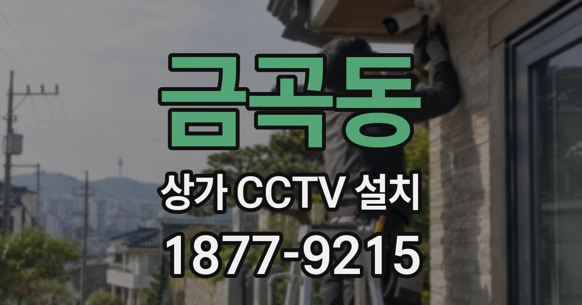 금곡동 상가 CCTV 설치