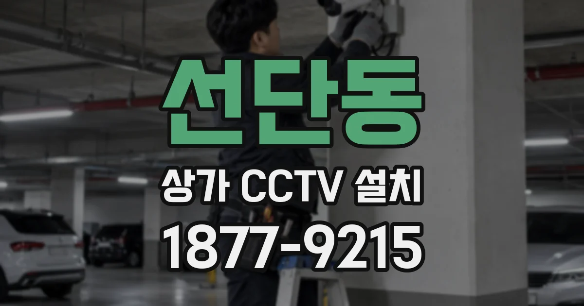 선단동 상가 CCTV 설치